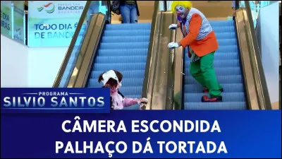 De ces animaux, un seul vit au Brésil !