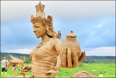 Dewi Sri est une déesse associée à la fertilité et au riz. Dans quelle région du monde la trouve-t-on ?