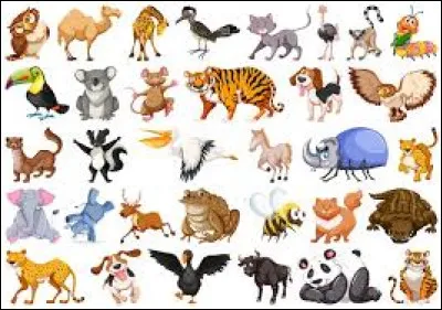 Quels animaux préfères-tu ?