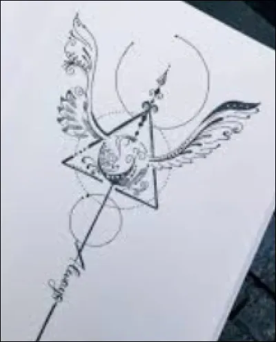 Si tu pouvais avoir une des reliques de la mort, tu prendrais :