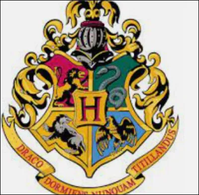 Quelle maison serait la tienne (d'après toi) ?