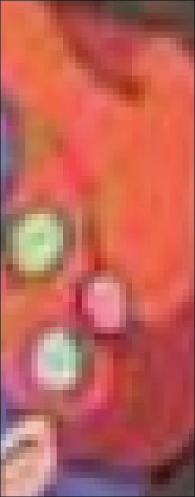 Et pour finir, que porte-t-il sur la tête ?