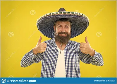 Tu peux faire ce que tu veux dans un parc d'attractions pour la journée, que fais-tu en premier ?