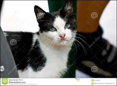 Cur Blanc a changé de nom.