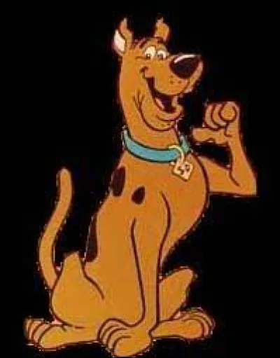Quel adjectif correspond le mieux à Scooby-Doo ?