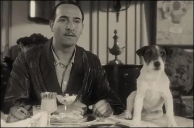 De quelle race est Uggie, le chien du film ''The Artist'' ?