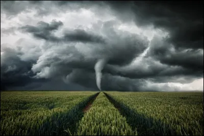 Aux États-Unis, comment est appelée cette zone favorable aux tornades, que nous pourrions traduire en français par "Couloir aux tornades" ?