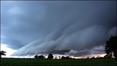Le 3 janvier 2023, une tornade de grande ampleur a dévasté le petit village de Maroa, situé à l'est de Springfield, dans quel État ?