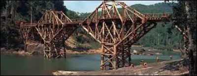 Le film est tiré d'un roman écrit par ...