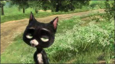 Dans quel Disney peut-on voir ce chat prénomné ''Mitaine'' ?