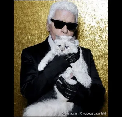 Comment s'appelle la chatte de Karl Lagerfeld ?