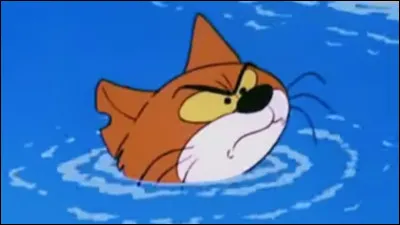 Dans quelle bande dessinée peut-on voir ce chat prénommé Azraël ?