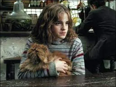 Dans quel livre Hermione Granger adopte-t-elle Pattenrond ?