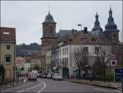 Quel est le gentilé des habitants de Saint-Avold (Moselle) ?
