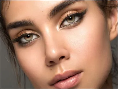 Qui chante "Ma biche" en 1963 ?