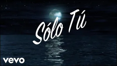 À qui faut-il attribuer le titre "Solo tu" ?