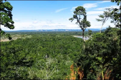 Le pays comprend deux régions géographiques bien distinctes : l'Ouest, traversé par deux cordillères qui bordent un vaste plateau, l'Altiplano et l'Est, où s'étendent de vastes plaines alluviales en partie couvertes de forêts (en image) :