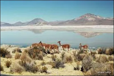 Il s'étend sur un million de km² :