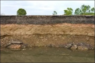 Quel est le nom de l'étude scientifique de la formation et de l'évolution des sols ?