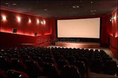 Tu peux organiser un week-end avec des amis. Que fais-tu ?