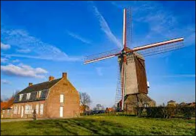 Quel est le nom de ce moulin, présent à Boeschèpe, dans les Hauts-de-France ?
