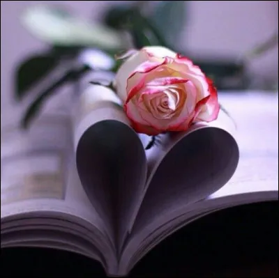 Le Rouge et le Noir : Quel fut le grand amour de Julien Sorel ?