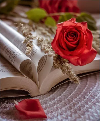 Belle du Seigneur : C'est le récit d'une passion où les amoureux fous connaîtront le paradis qui peu à peu se désagrège pour laisser place à l'enfer. Ce roman met en scène Solal et...