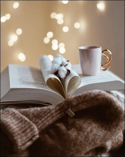 Paul et Virginie : Dans quel lieu se situe leur histoire d'amour ?