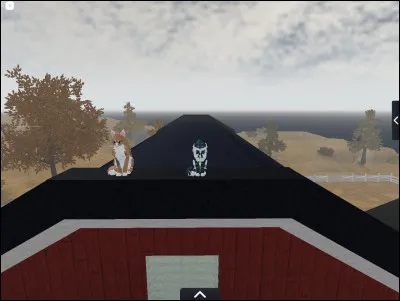 Bonus - Comment s'appelle ce jeu Roblox ?