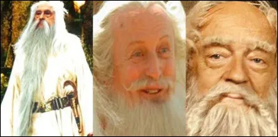 Voici différents interprètes du savant et philosophe spécialiste de la fameuse potion magique dans laquelle tomba Obélix : le druide Panoramix. 
Qui est au casting de 2023 ?