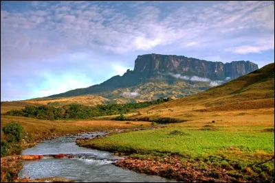 Le pays comprend trois régions : au nord ouest l'extrémité de la cordillère des Andes, au centre le bassin de l'Orénoque et au sud est le massif des Guyanes :