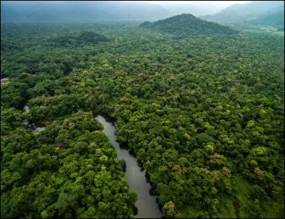 Le pays comprend deux grandes régions : à l'est les montagnes avec trois cordillères et à l'ouest le bassin de l'Amazonie :