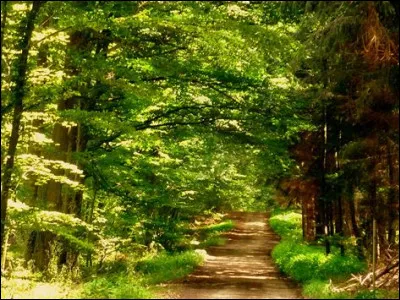 Lequel de ces écosystèmes est terrestre ?