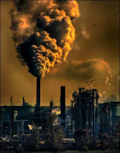 Quels éléments peuvent modifier un écosystème ?