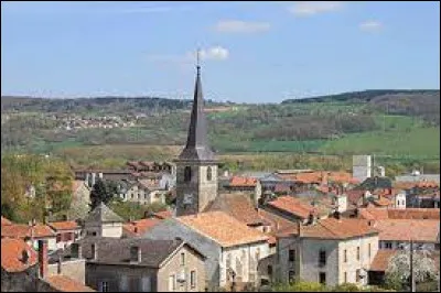 À Pagny-sur-Moselle (Meurthe-et-Moselle), les habitants portent le gentilé ...