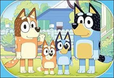 Qui est le personnage principal de la série « Bluey » ?