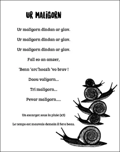 Quelle phrase est correcte ? (d'après "Ur maligorn dindan ar glav", comptine)