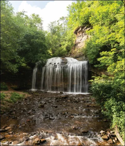 À quelle fréquence prends-tu ta douche ?