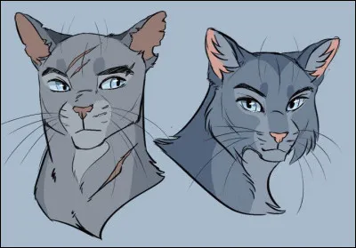 Le début de ton nom doit commencer par...