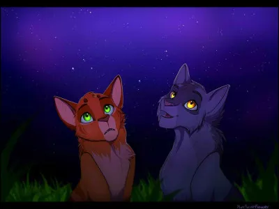 Le lendemain, tu annonces à Nuage de Couchant que tu l'a vu durant la nuit. Que lui dis-tu ensuite ?