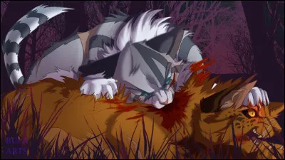 Éclair Pâle bondit sur toi à son tour, mais tu parviens à le faire fuir. Puis tu te retournes, et vois que Lune d'Ombre a plaqué ton apprenti au sol et s'apprête à lui trancher la gorge ! Vif comme l'éclair, tu fonces, et mords sa nuque de toutes tes forces, jusqu'à entendre un craquement sinistre. Le vieux guerrier s'écroule, puis disparaît peu à peu. Comment réagis-tu ?