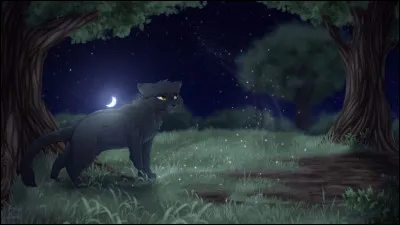 Au final, regrettes-tu cette aventure passée dans la Forêt Sombre ?