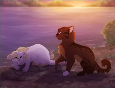 Après cette première leçon, Cur d'Eau et Fleur d'Écume décident qu'il est temps de rentrer. Sur le chemin du retour, tu aperçois un mulot grignotant une graine près d'une racine ! Tu le prends immédiatement en chasse, mais tu marches sur une feuille morte et le bruit effraye le rongeur, qui prend la fuite. Cur d'Eau te dit ensuite que ce n'est pas grave. Comment réagis-tu ?