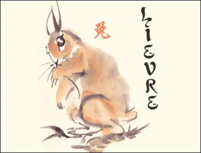 Que dire du Lapin ?