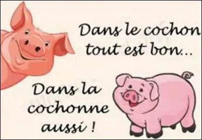 Moi ce que j'aime chez Daniela, c'est que l'on peut s'y mettre ...