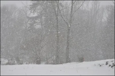 Nous sommes au mois de janvier, c'est la saison !