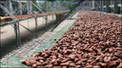 Le pays est le premier producteur mondial de cacao et de noix de cajou ; il produit aussi café, canne à sucre, ananas et huile de palme.