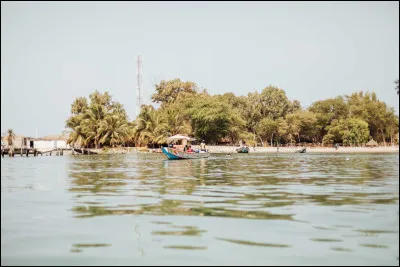 C'est le moins étendu avec 196 000 km² : le nord du pays possède une végétation typique du Sahel et le sud une forêt dense ; entre les deux s'étend une savane arborée et sèche.