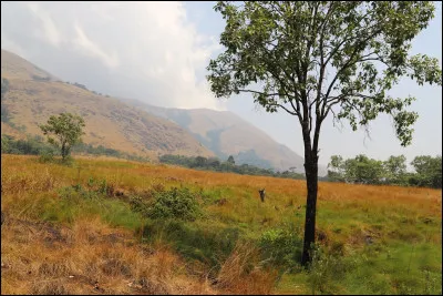 Il s'étend sur 332 000 km², comprenant essentiellement des plaines et collines ; le pays est séparé en deux zones de végétation : la savane arborée au nord et une forêt équatoriale de plus en plus dense au sud.