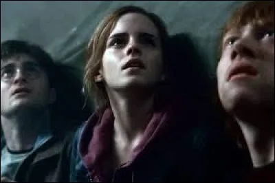 Je suis créatrice de Harry Potter...